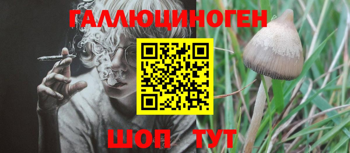 Псилоцибиновые грибы Psilocybe  Вход с VPN  сколько стоит  Красноперекопск 