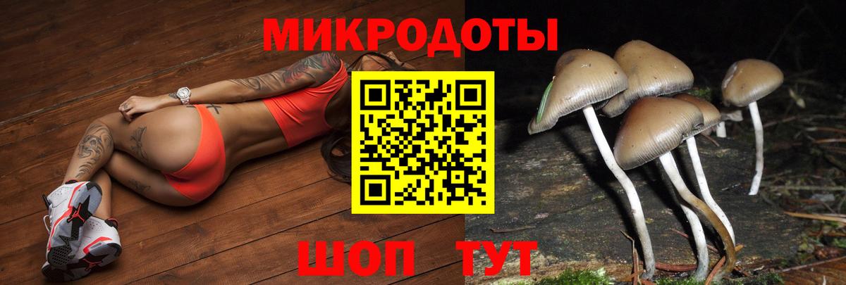 Псилоцибиновые грибы мицелий Красноперекопск